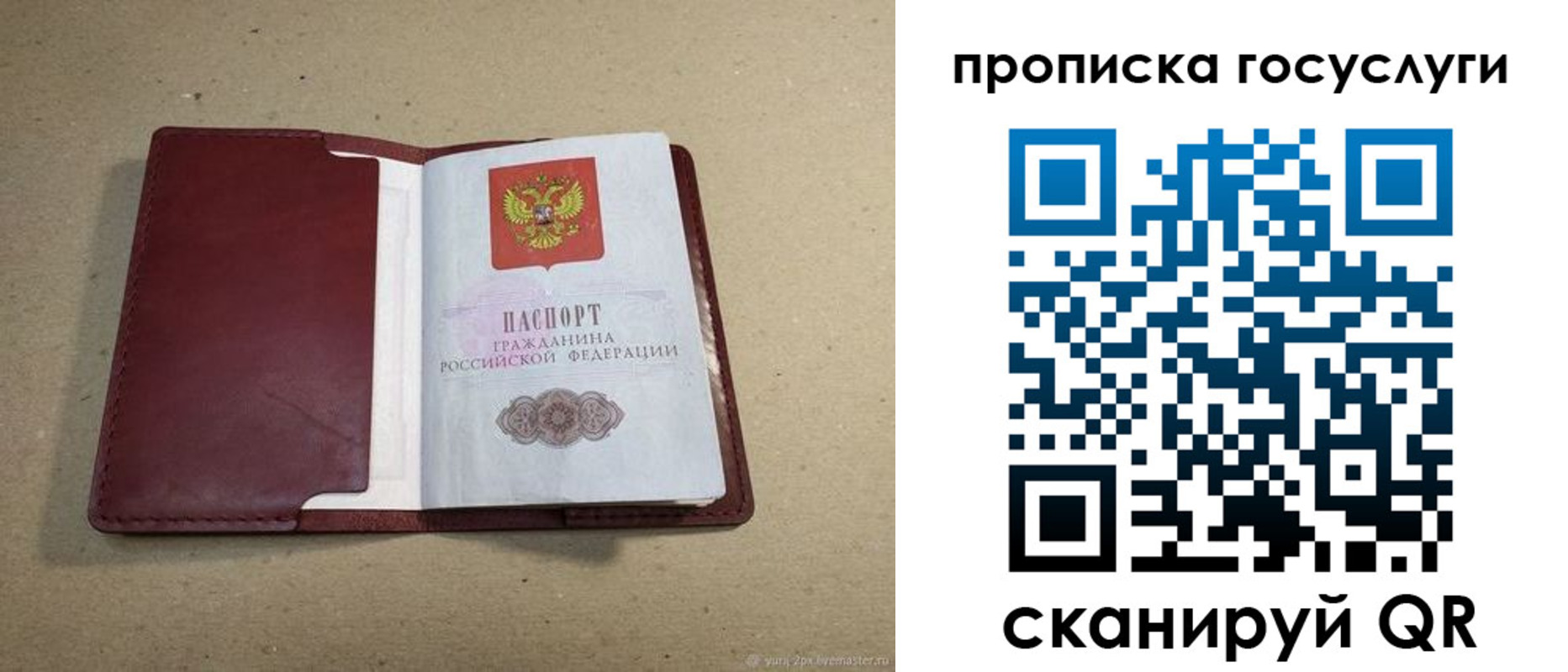 прописка поиск в Болотном